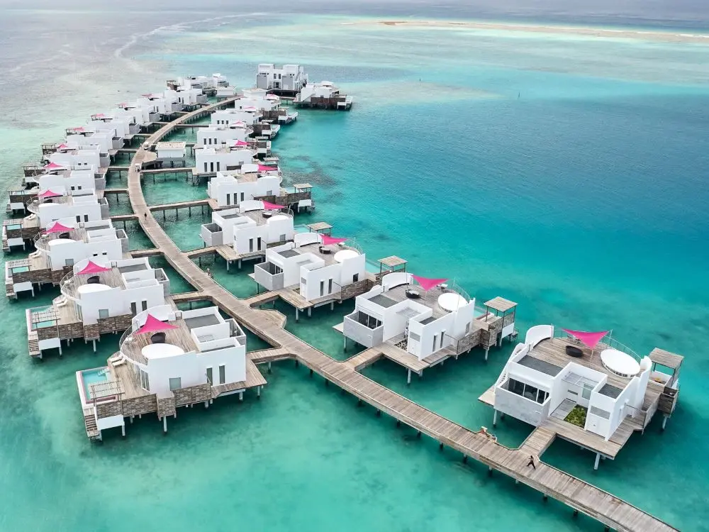 LNMA - Jetty Day.webp